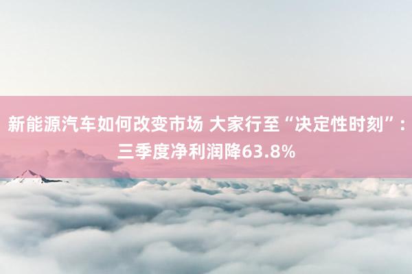 新能源汽车如何改变市场 大家行至“决定性时刻”：三季度净利润降63.8%