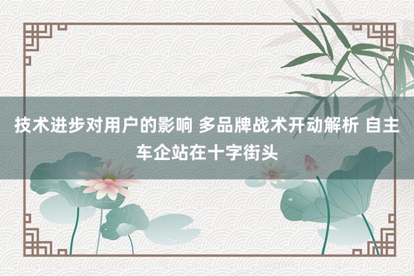 技术进步对用户的影响 多品牌战术开动解析 自主车企站在十字街头