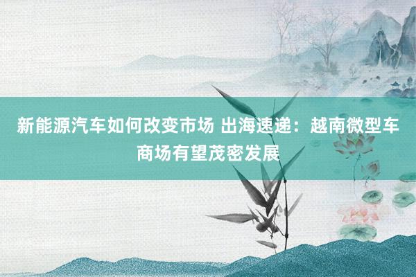 新能源汽车如何改变市场 出海速递：越南微型车商场有望茂密发展