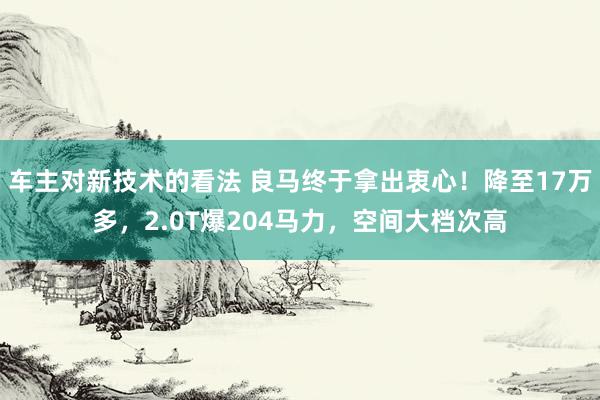 车主对新技术的看法 良马终于拿出衷心！降至17万多，2.0T爆204马力，空间大档次高