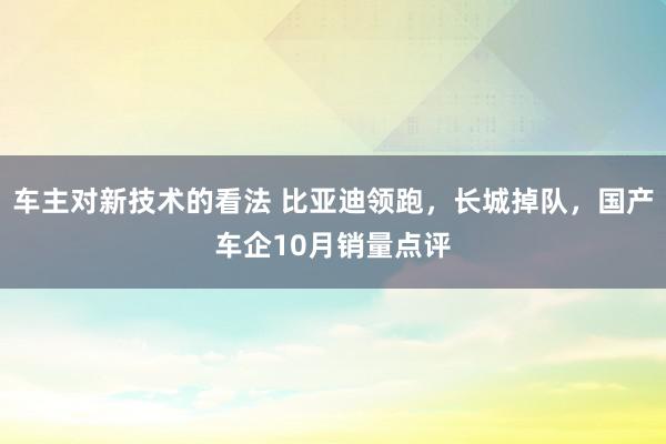 车主对新技术的看法 比亚迪领跑，长城掉队，国产车企10月销量点评