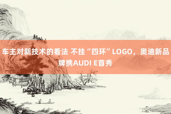 车主对新技术的看法 不挂“四环”LOGO，奥迪新品牌携AUDI E首秀