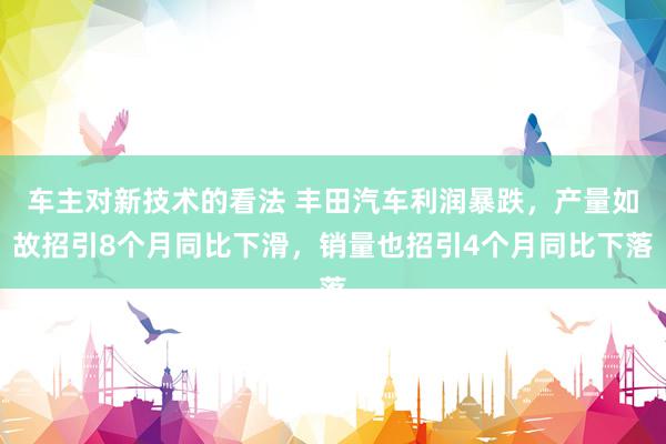 车主对新技术的看法 丰田汽车利润暴跌，产量如故招引8个月同比下滑，销量也招引4个月同比下落