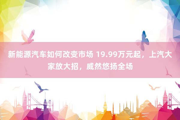 新能源汽车如何改变市场 19.99万元起，上汽大家放大招，威然悠扬全场