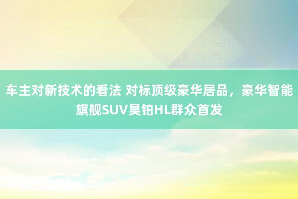 车主对新技术的看法 对标顶级豪华居品，豪华智能旗舰SUV昊铂HL群众首发