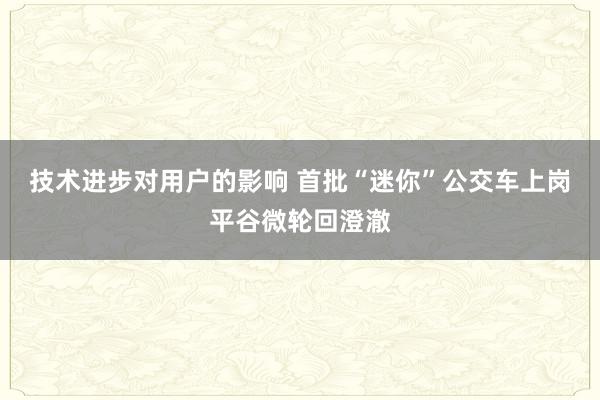 技术进步对用户的影响 首批“迷你”公交车上岗平谷微轮回澄澈