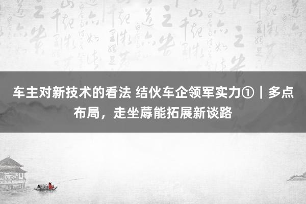 车主对新技术的看法 结伙车企领军实力①｜多点布局，走坐蓐能拓展新谈路