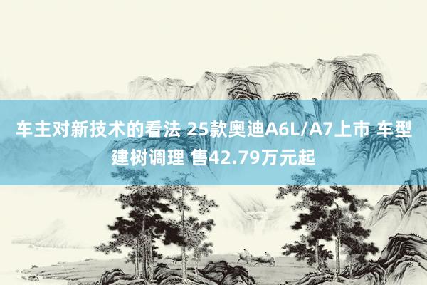 车主对新技术的看法 25款奥迪A6L/A7上市 车型建树调理 售42.79万元起