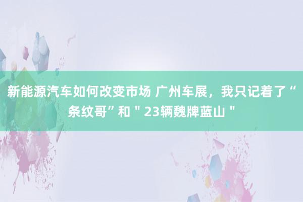 新能源汽车如何改变市场 广州车展，我只记着了“条纹哥”和＂23辆魏牌蓝山＂