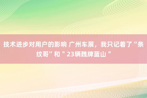 技术进步对用户的影响 广州车展，我只记着了“条纹哥”和＂23辆魏牌蓝山＂