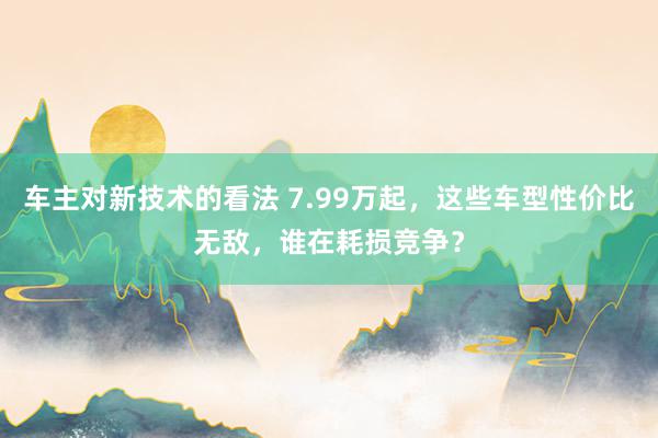 车主对新技术的看法 7.99万起，这些车型性价比无敌，谁在耗损竞争？