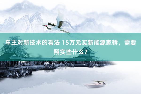 车主对新技术的看法 15万元买新能源家轿，需要翔实些什么？