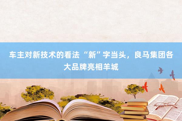 车主对新技术的看法 “新”字当头，良马集团各大品牌亮相羊城