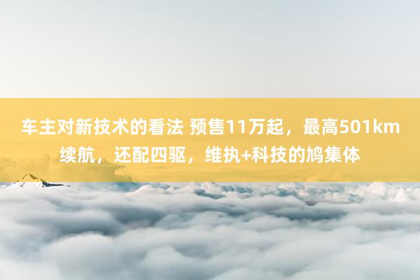 车主对新技术的看法 预售11万起，最高501km续航，还配四驱，维执+科技的鸠集体