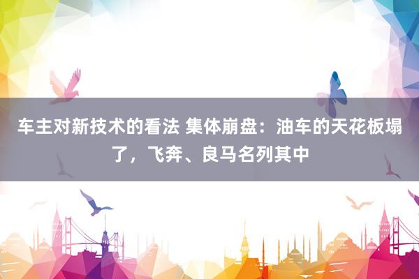 车主对新技术的看法 集体崩盘：油车的天花板塌了，飞奔、良马名列其中