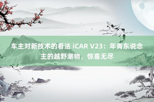 车主对新技术的看法 iCAR V23：年青东说念主的越野潮物，惊喜无尽