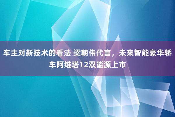 车主对新技术的看法 梁朝伟代言，未来智能豪华轿车阿维塔12双能源上市