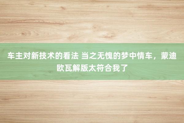 车主对新技术的看法 当之无愧的梦中情车，蒙迪欧瓦解版太符合我了