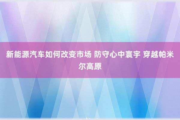 新能源汽车如何改变市场 防守心中寰宇 穿越帕米尔高原