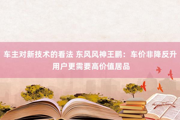 车主对新技术的看法 东风风神王鹏：车价非降反升 用户更需要高价值居品