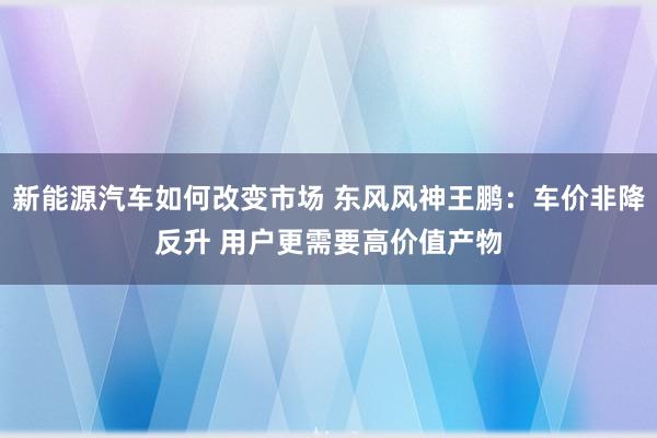 新能源汽车如何改变市场 东风风神王鹏：车价非降反升 用户更需要高价值产物