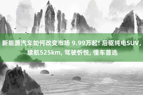 新能源汽车如何改变市场 9.99万起! 后驱纯电SUV, 续航525km, 驾驶忻悦, 懂车首选