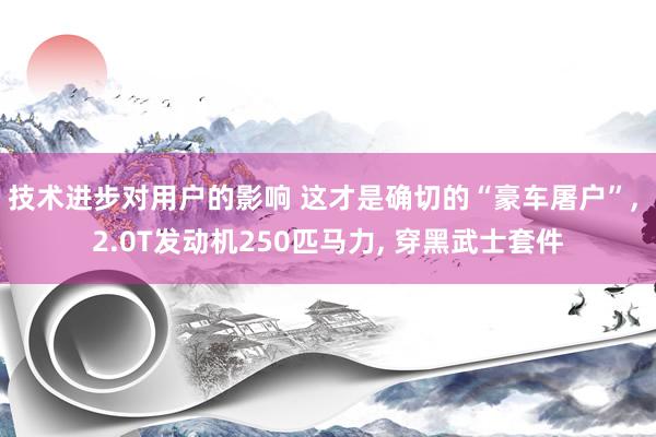 技术进步对用户的影响 这才是确切的“豪车屠户”, 2.0T发动机250匹马力, 穿黑武士套件