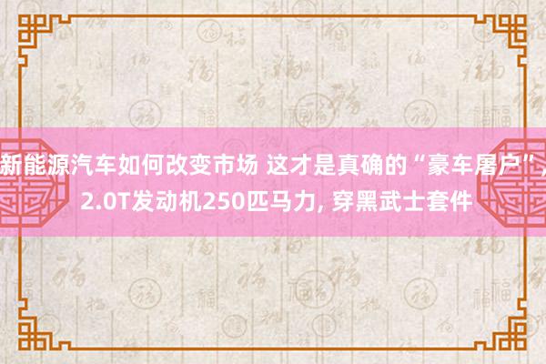 新能源汽车如何改变市场 这才是真确的“豪车屠户”, 2.0T发动机250匹马力, 穿黑武士套件