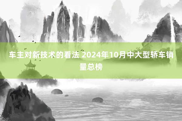 车主对新技术的看法 2024年10月中大型轿车销量总榜