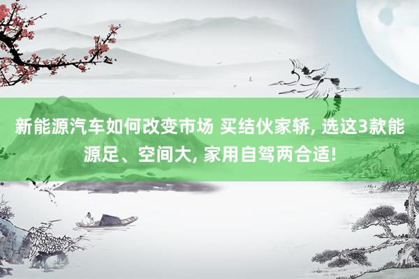 新能源汽车如何改变市场 买结伙家轿, 选这3款能源足、空间大, 家用自驾两合适!