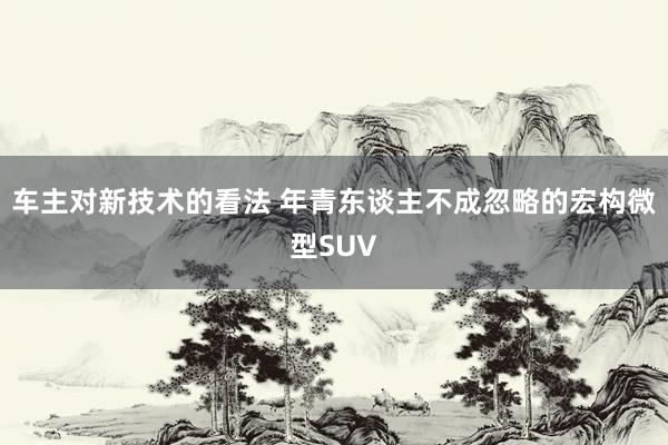 车主对新技术的看法 年青东谈主不成忽略的宏构微型SUV