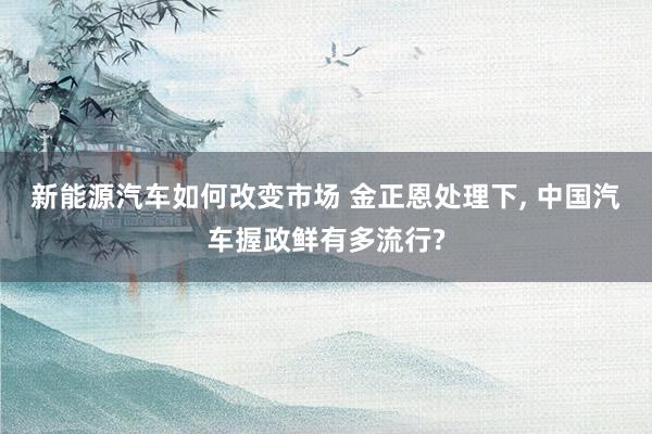 新能源汽车如何改变市场 金正恩处理下, 中国汽车握政鲜有多流行?