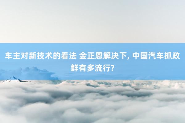 车主对新技术的看法 金正恩解决下, 中国汽车抓政鲜有多流行?