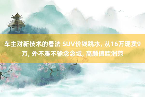 车主对新技术的看法 SUV价钱跳水, 从16万现卖9万, 外不雅不输念念域, 高颜值欧洲范