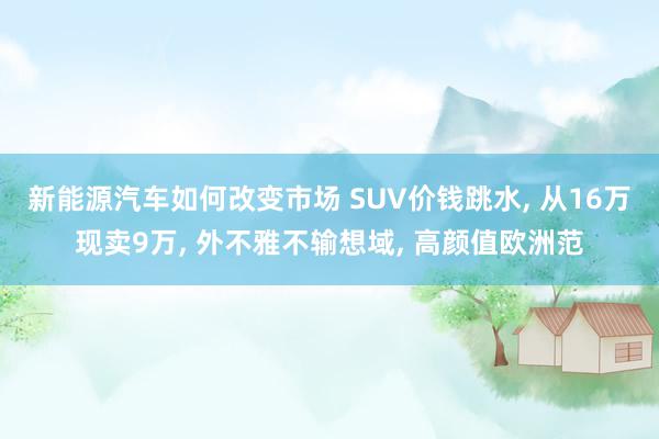 新能源汽车如何改变市场 SUV价钱跳水, 从16万现卖9万, 外不雅不输想域, 高颜值欧洲范