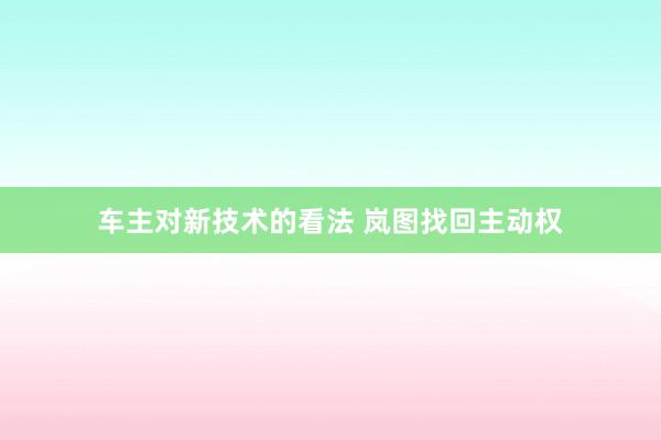 车主对新技术的看法 岚图找回主动权