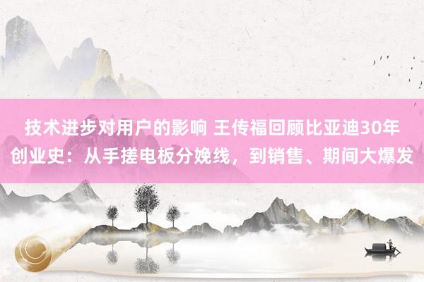 技术进步对用户的影响 王传福回顾比亚迪30年创业史：从手搓电板分娩线，到销售、期间大爆发