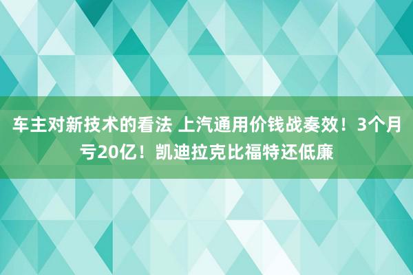 车主对新技术的看法 上汽通用价钱战奏效！3个月亏20亿！凯迪拉克比福特还低廉