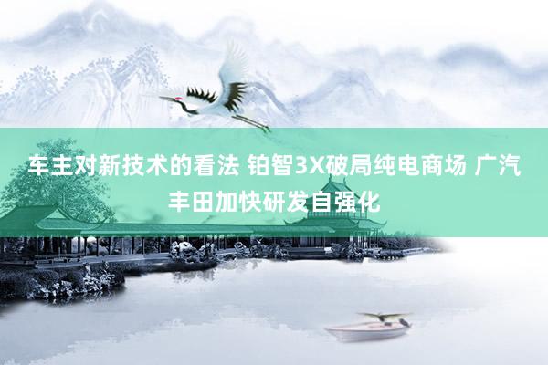 车主对新技术的看法 铂智3X破局纯电商场 广汽丰田加快研发自强化