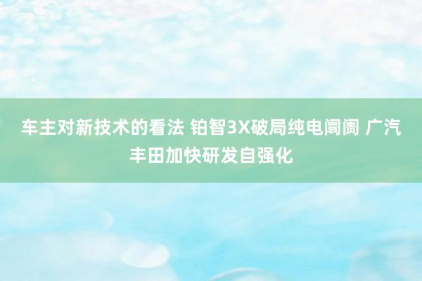 车主对新技术的看法 铂智3X破局纯电阛阓 广汽丰田加快研发自强化