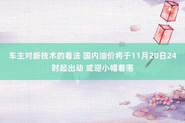 车主对新技术的看法 国内油价将于11月20日24时起出动 或迎小幅着落