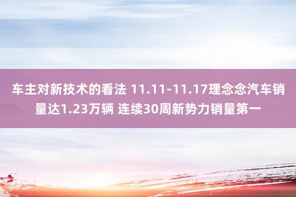 车主对新技术的看法 11.11-11.17理念念汽车销量达1.23万辆 连续30周新势力销量第一